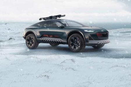 Audi Activesphere