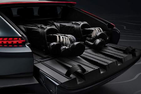Audi Activesphere
