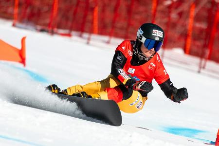 Snowboard: Hofmeister Snowboard: Hofmeister