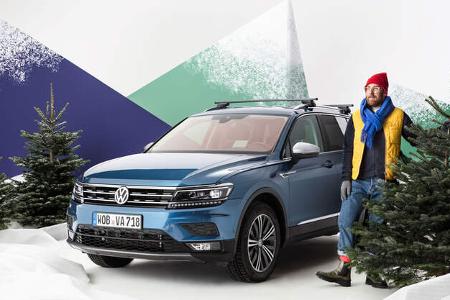 Weihnachtsbaumtransport