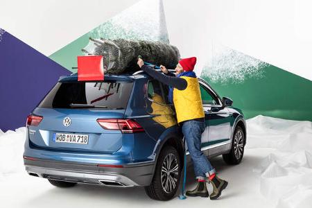 Weihnachtsbaumtransport