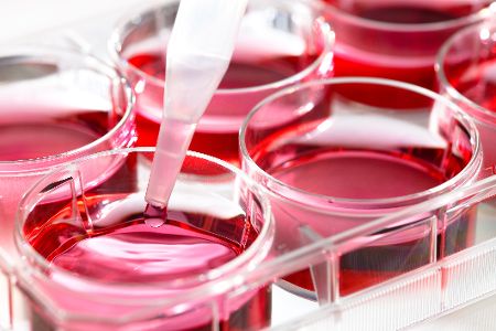 Reagenzgläser mit roter Flüssigkeit und eine Pipette
