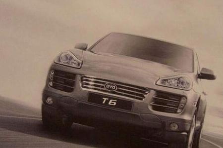 Byd T6