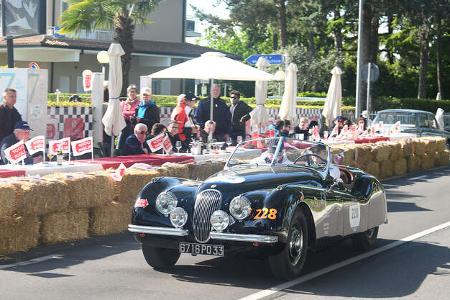 Millie Miglia 2046