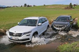 Große Familien-SUV im Test