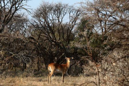 Spirit of Amarok South-Africa 2019