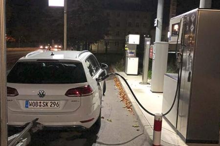 Golf Variant 1.5 TGI Bluemotion (2020)