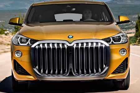BMW Niere groß Retusche