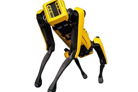 Roboterhund Spot