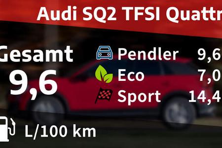 Realverbrauch Audi SQ2