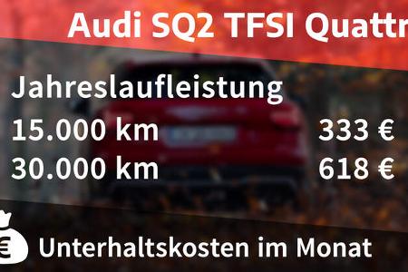 Realverbrauch Audi SQ2