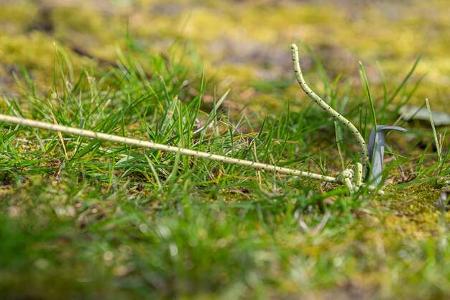 Tent Peg Tent Peg