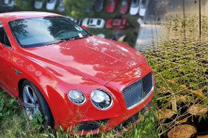 35 gestohlene Luxusautos nebst Marihuana-Plantage