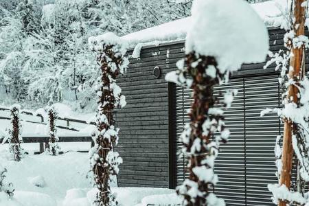 Tiny House Cabinski Montafon