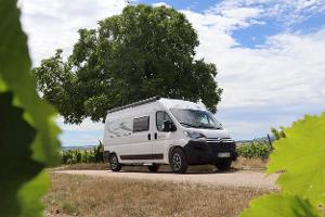 Noch weniger Ducato und mehr Transit
