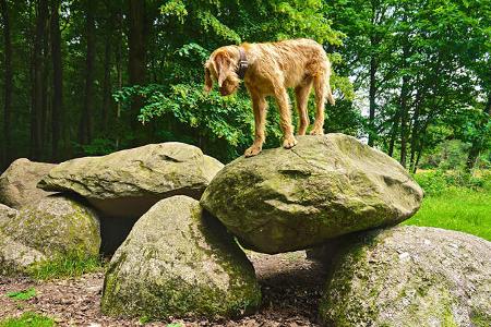 Sternenparks Niederlande