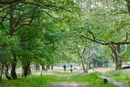 Sternenparks Niederlande