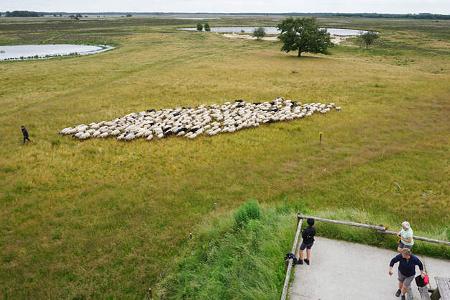 Sternenparks Niederlande