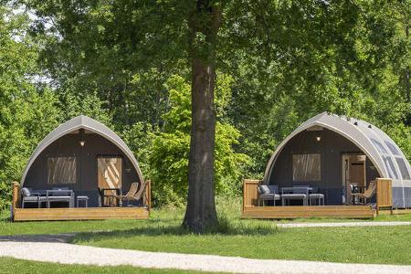 De Waard Big Oak