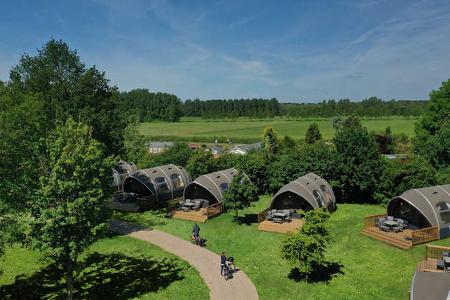 De Waard Big Oak