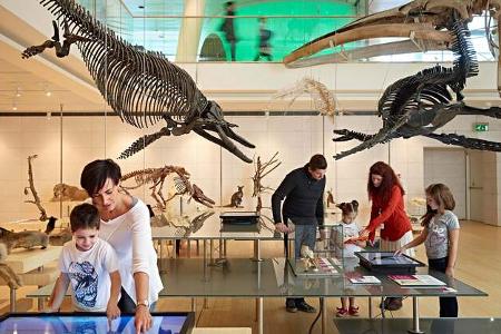 Kinder Museum