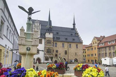 Stellplatz Heinrichs-Ruhe