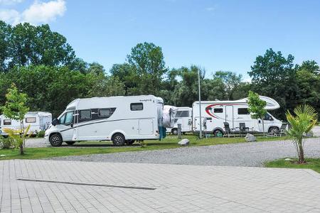 Kenzingen, Bäume 