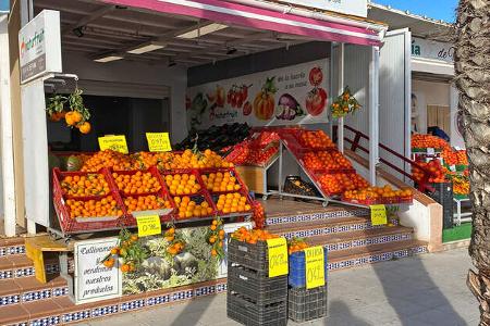 Winter in Spanien f Orangen