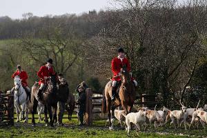 Tierschützer fordern schärferes Jagdverbot in England