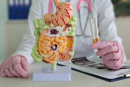 Arzt mit einem Plastikmodell des menschlichen Körpers erklärt Schäden durch Zigarettenkonsum