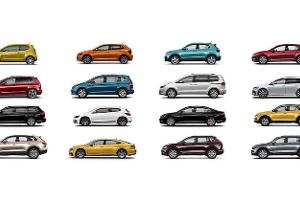 Wer stört die VW-Show?