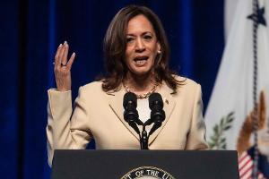 Plünderer bei Kamala Harris? Verdächtige in Brentwood festgenommen