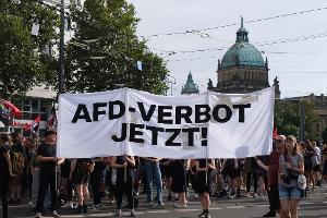 Menschenrechtsinstitut: Chance für AfD-Verbot in Karlsruhe