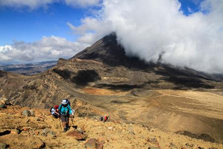 Neuseeland ist für viele eines der Traumländer schlechthin - jetzt können sie dort auch als Urlauber arbeiten. (Archivbild) Neuseeland ist für viele eines der Traumländer schlechthin - jetzt können sie dort auch als Urlauber arbeiten. (Archivbild)