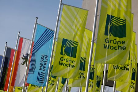Flaggen an Fahnenmasten zur Grünen Woche und der Berliner Messe