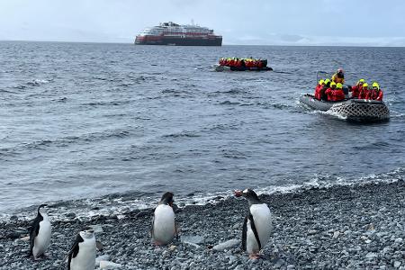 Sind die Pinguine wegen der vielen Besucher gestresst? Da gehen die Meinungen auseinander.