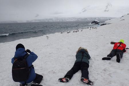 Pinguine so hautnah vor die Linse zu bekommen, reizt die meisten Touristen.