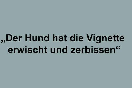 Ausreden Vignette Österreich