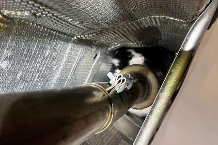 Katze im Motorraum
