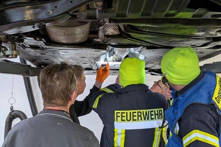 Katze im Motorraum