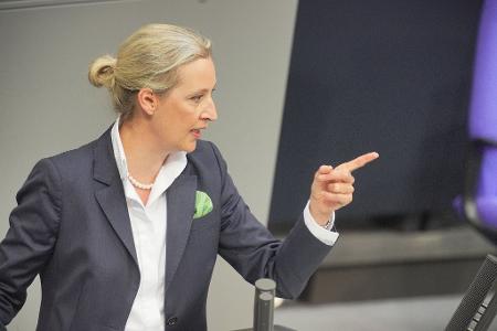 Weidel sieht in Ungarn ein 