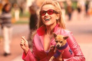"Natürlich blond": Newcomerin Lexi Minetree wird die neue Elle Woods