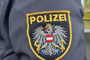 Ein Alpinpolizist fand die Schwerverletzte. (Foto: Archiv)