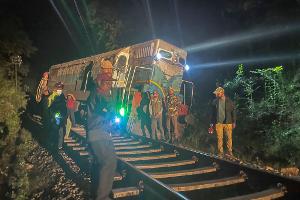 Sechs Elefanten sterben in Sri Lanka bei Kollision mit Zug