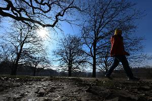 Winterwetter ade: Temperaturen werden zweistellig