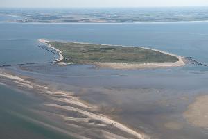 Toter Wal auf unbewohnter Nordseeinsel entdeckt
