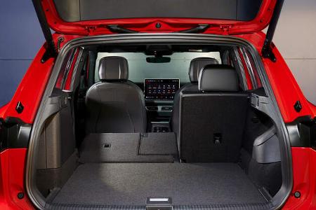 VW Tiguan III (3. Generation / 2024)