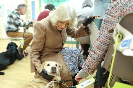Königin Camilla stellt neues Familienmitglied vor Königin Camilla stellt neues Familienmitglied vor