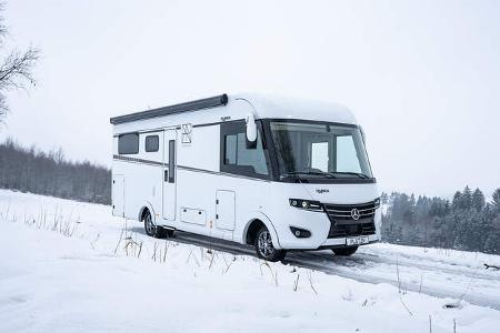 Frankia Platin Pure (2024)