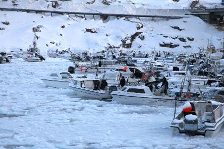Der Hafen von Ilulissat ist teils zugefroren.